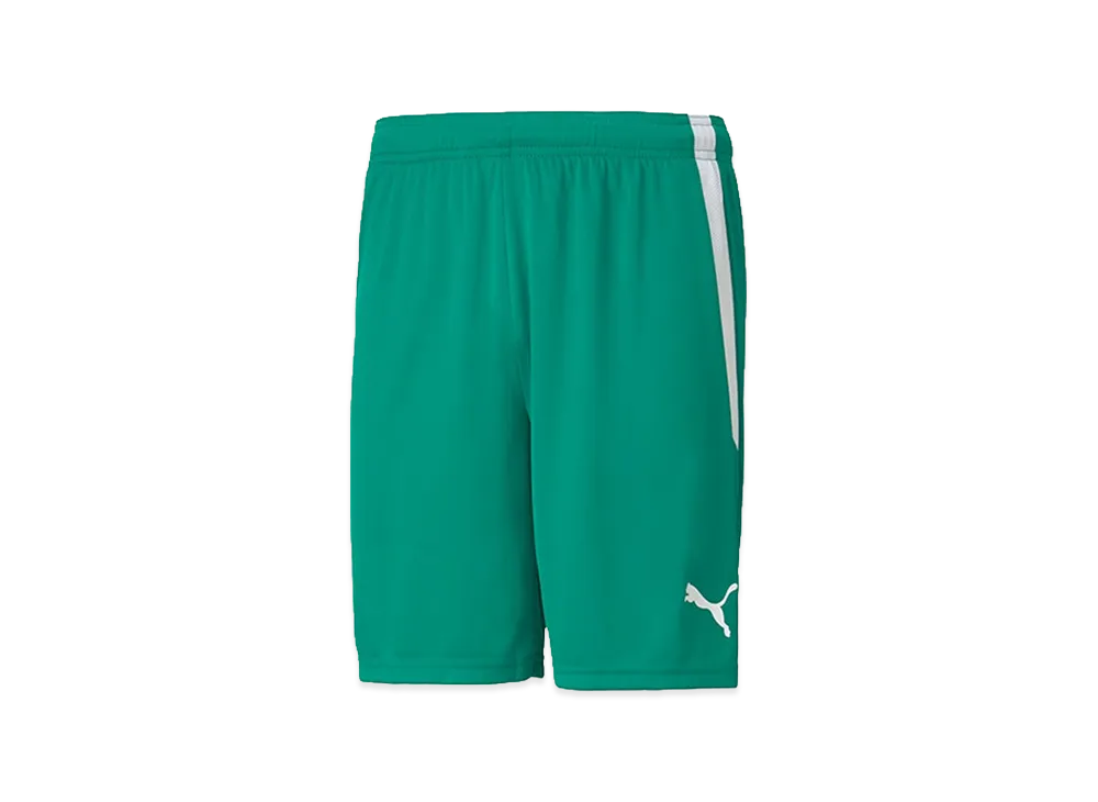 PUMA teamLIGA Match Shorts "Pepper Green/Puma White"