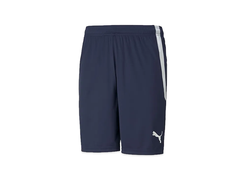 PUMA teamLIGA Match Shorts "Peacoat/Puma White"