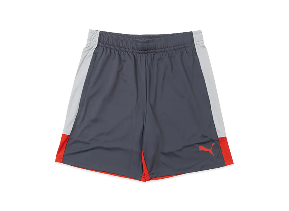 PUMA individualLIGA TR Shorts "Gray Echo/Dusky Gray"