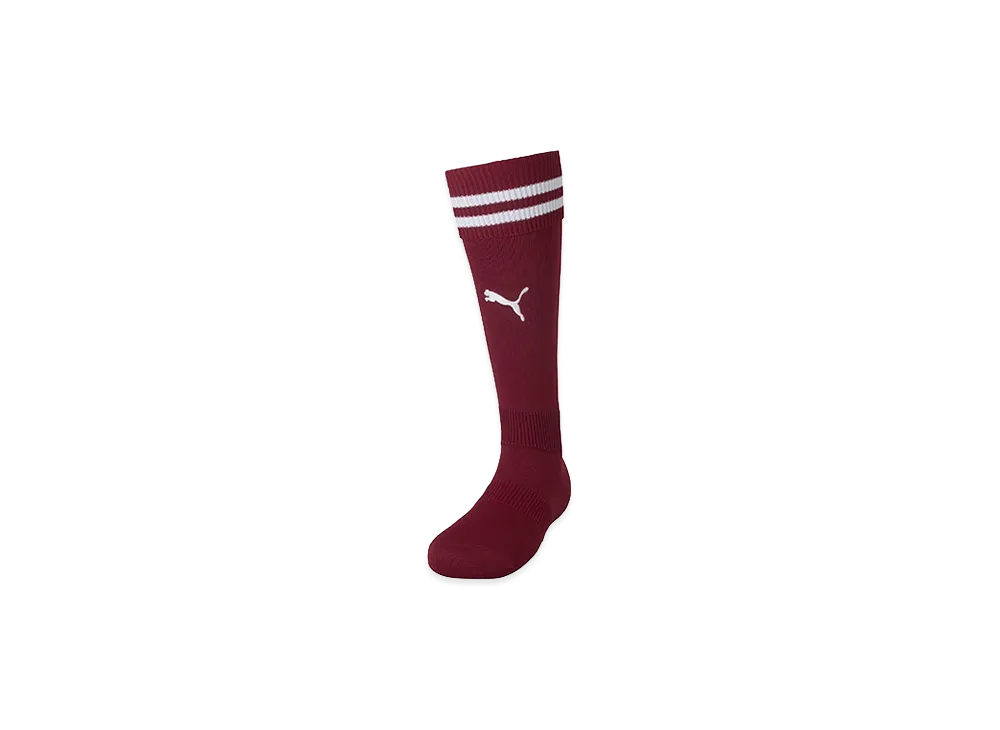 PUMA Striped Stockings "Cordovan/Puma White"