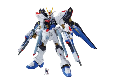 BANDAI "HIGH GRADE" -MOBILE SUIT GUNDAM SEED DESTINY- HG 1/144 ZGMF-X20A Strike Freedom Gundam Ver.GFT