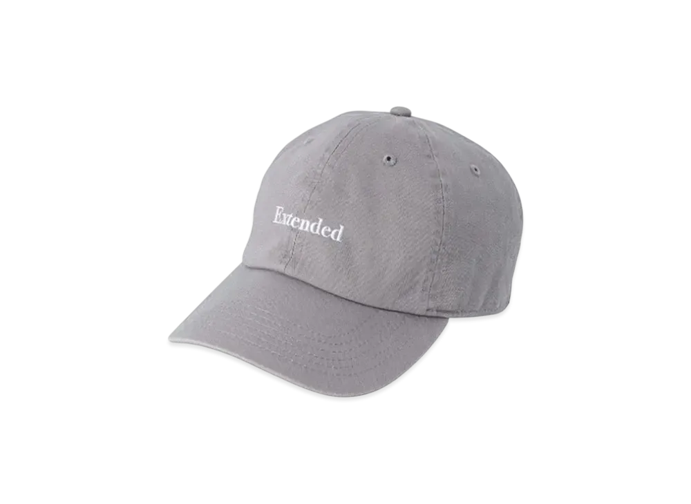 POET MEETS DUBWISE Extended Tours 6 Panel Cap "Grey"