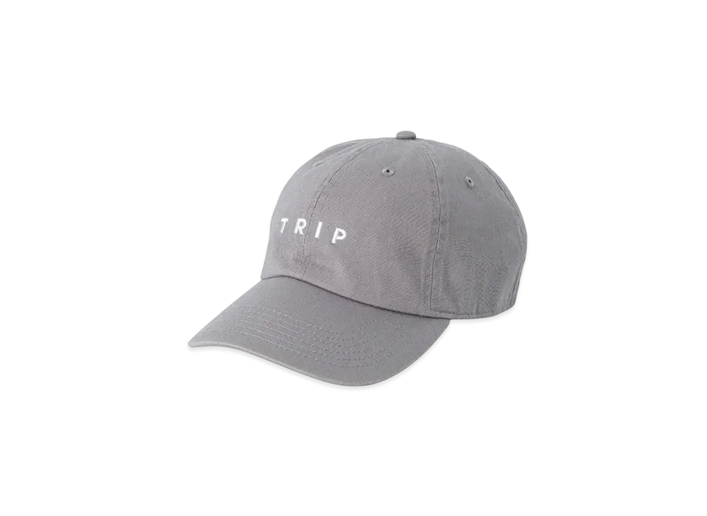 POET MEETS DUBWISE Trip 6 Panel Cap "Grey"