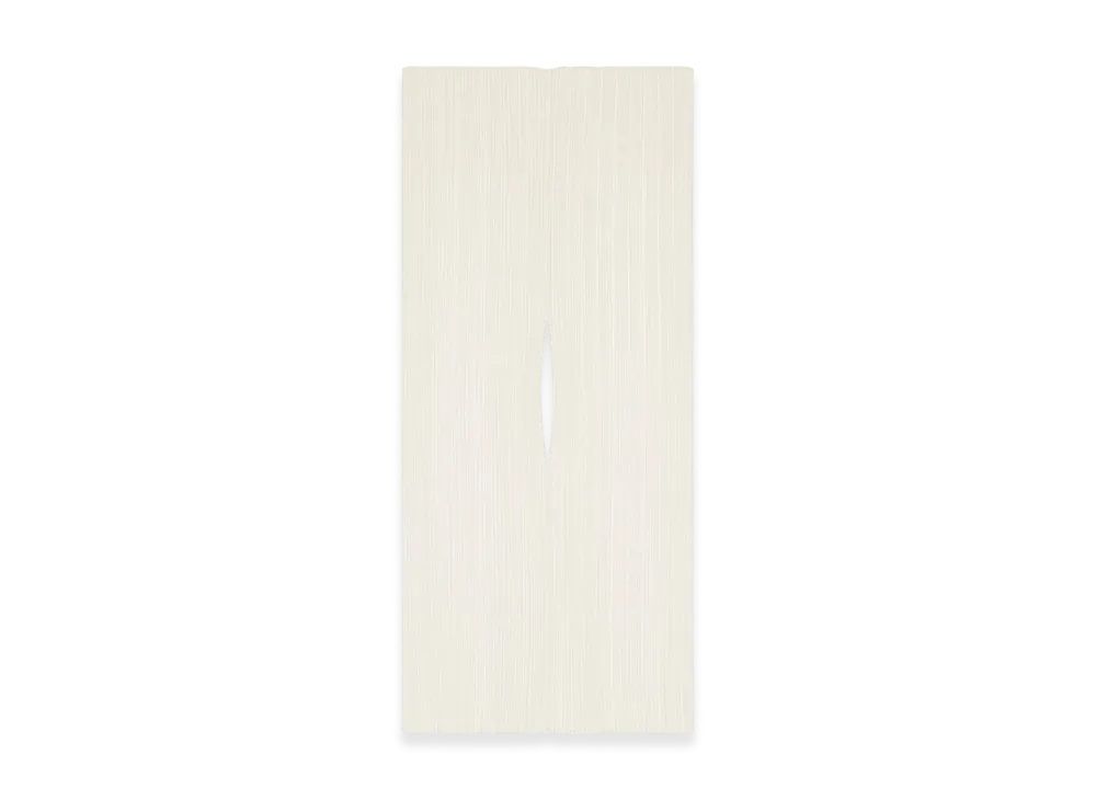 プリーツプリーズ イッセイミヤケ ベーシック マダムT スモール