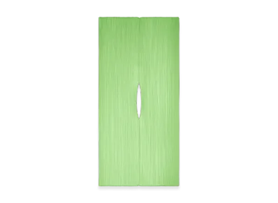 PLEATS PLEASE ISSEY MIYAKE Colorful Madame-T Small "Light Green"