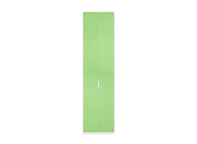 PLEATS PLEASE ISSEY MIYAKE Colorful Madame-T "Light Green"