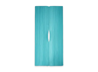 PLEATS PLEASE ISSEY MIYAKE Madame-T June "Turquoise Green"