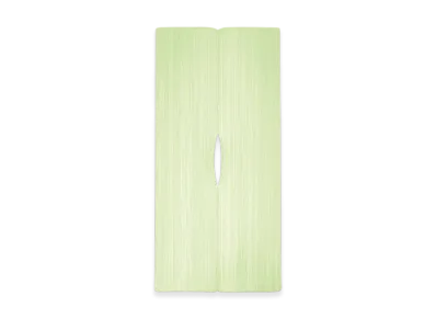 PLEATS PLEASE ISSEY MIYAKE Madame-T June "White Green"