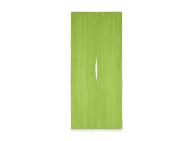 PLEATS PLEASE ISSEY MIYAKE Madame-T August "Yellow Green"