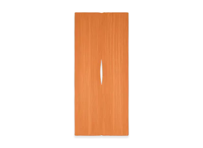 PLEATS PLEASE ISSEY MIYAKE Madame-T August "Apricot"