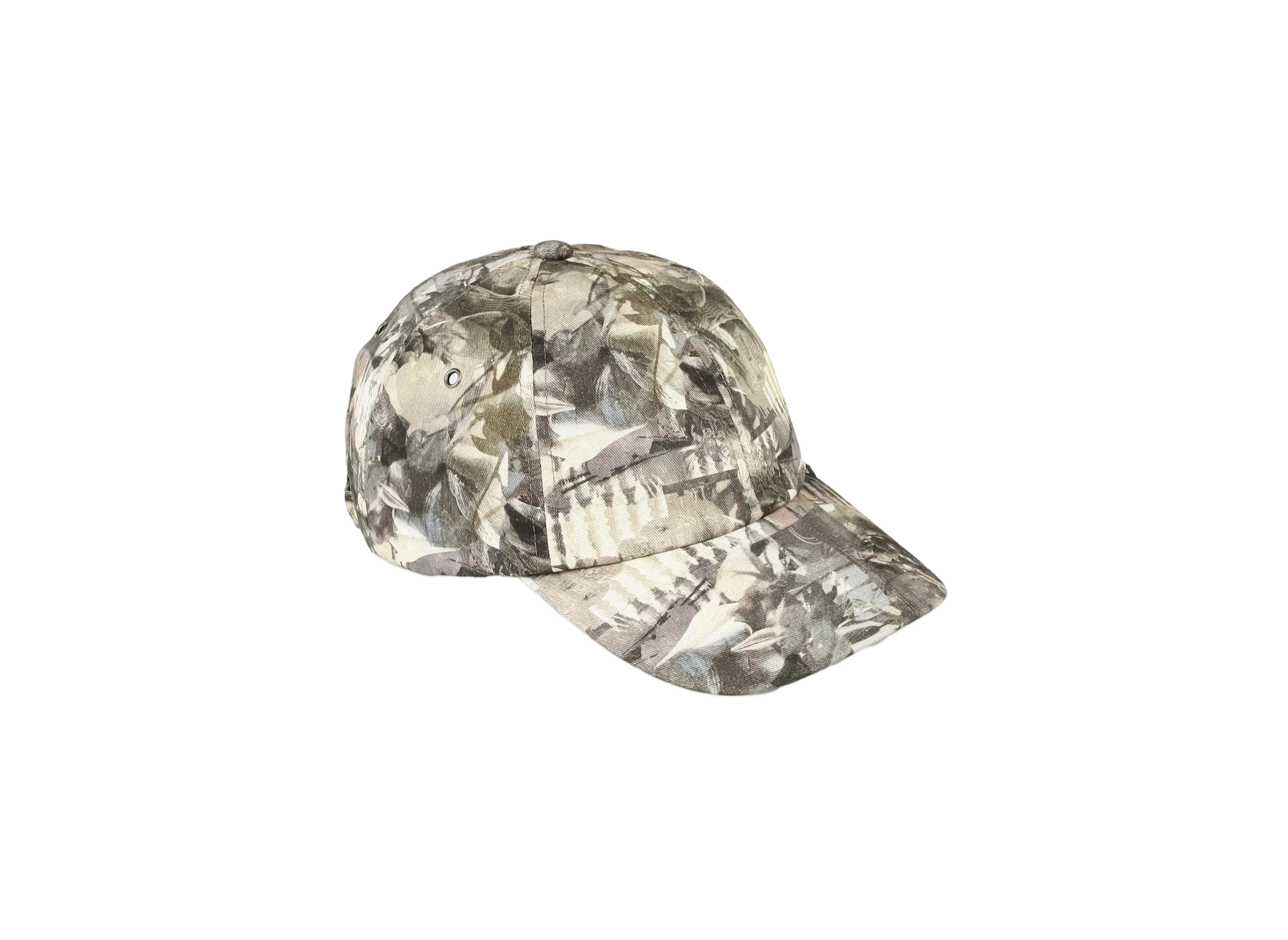Paul Smith Color Photographic Cap "Gray"