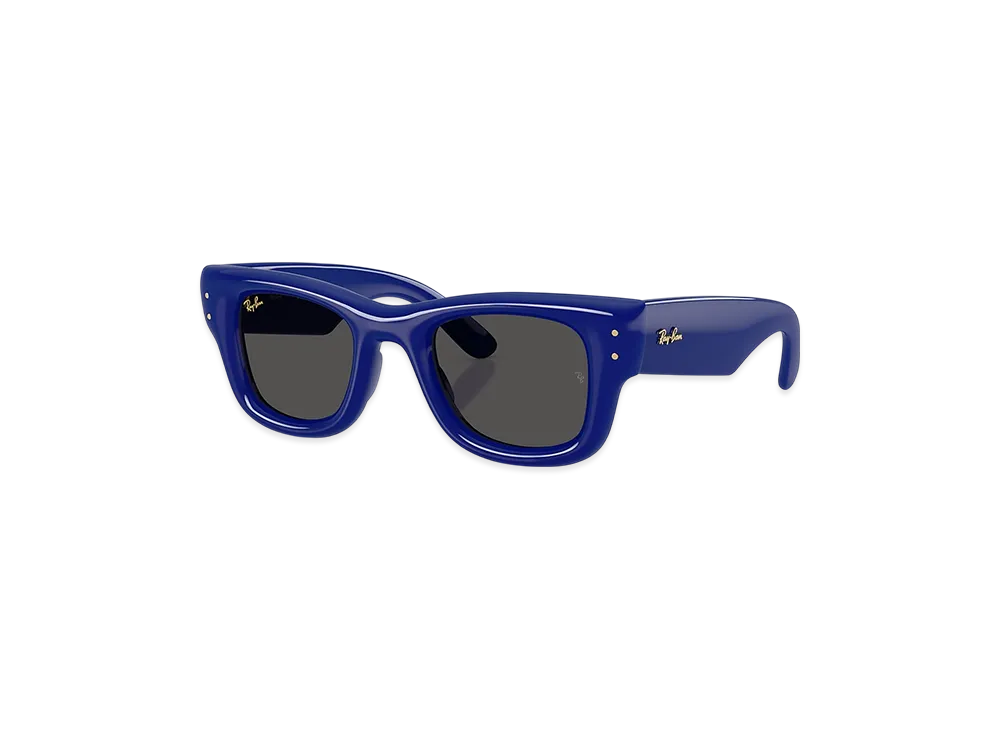 6/21発売｜Ray-Ban × A$AP Rocky The Wayfarer Puffer｜抽選/販売/定価