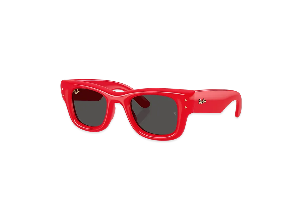 Ray-Ban x A$AP Rocky Wayfarer Puffer "Red"
