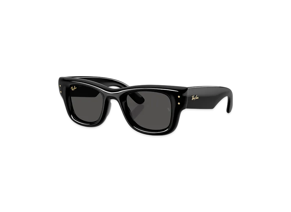 ◆Ray-Ban × A$AP ROCKY ◇wayfarer 　　サングラス Ray-Ban x A$AP Rocky Wayfarer Puffer Sunglasses Polished