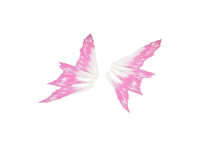 RG 1/144 Destiny Gundam Effect Unit Wing of Light