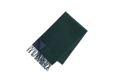 Polo Ralph Lauren Scarf "Green/Blue"