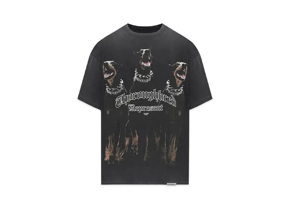 REPRESENT Horizons T-Shirt "Vintage Black"