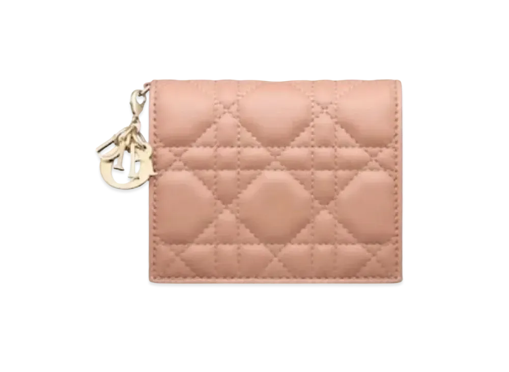 Dior Mini Wallet "Pink"