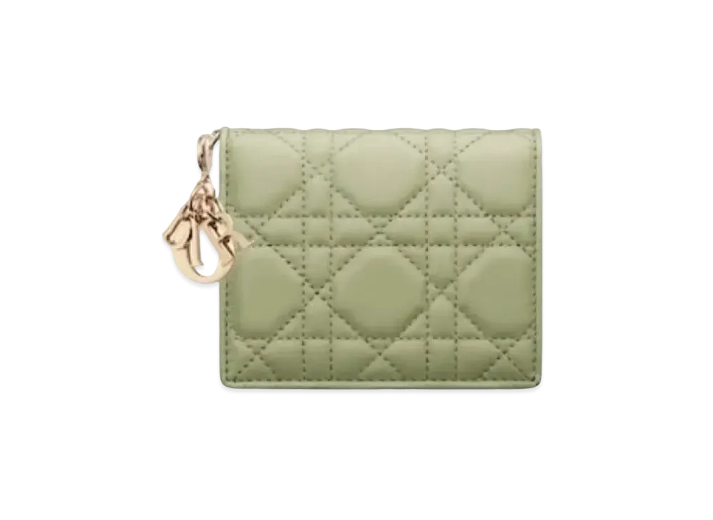 Dior Mini Wallet "Light Green"