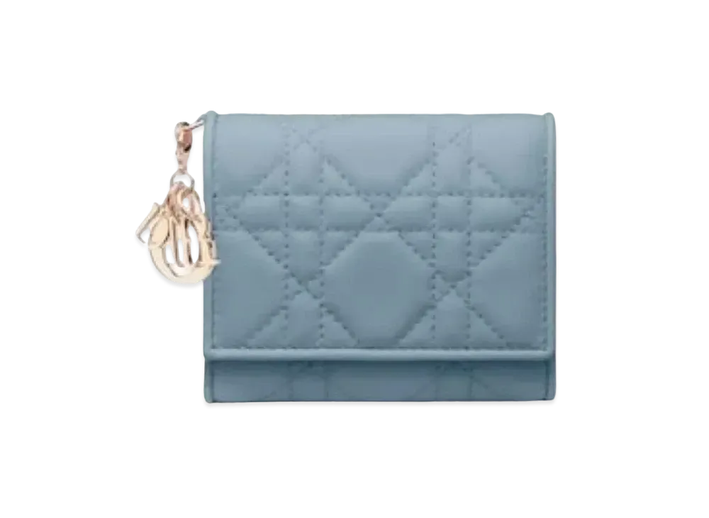 Dior Rotation Wallet "Cloud Blue"