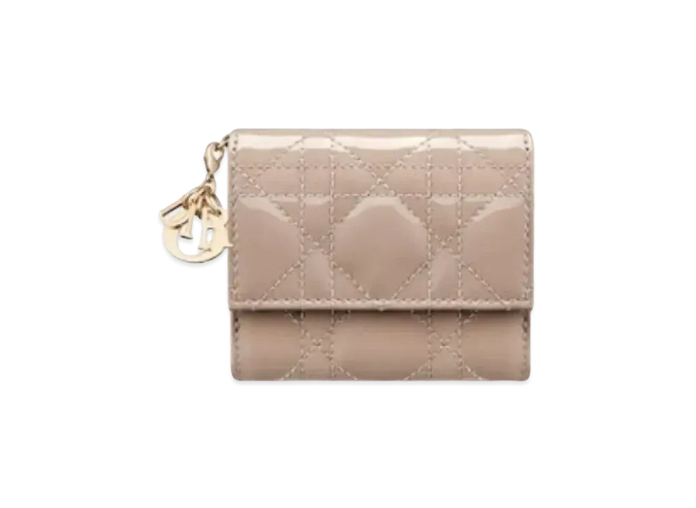Dior Rotation Wallet "Hazelnuts"