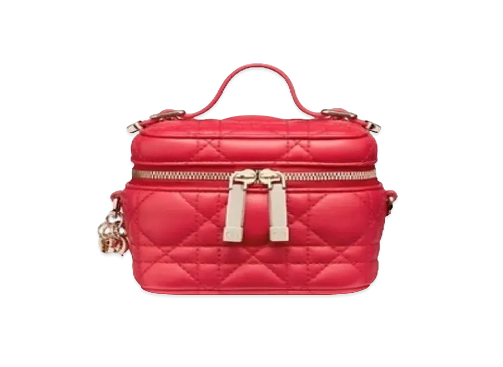 Dior Micro Lady Dior Vanity Case "Pink"
