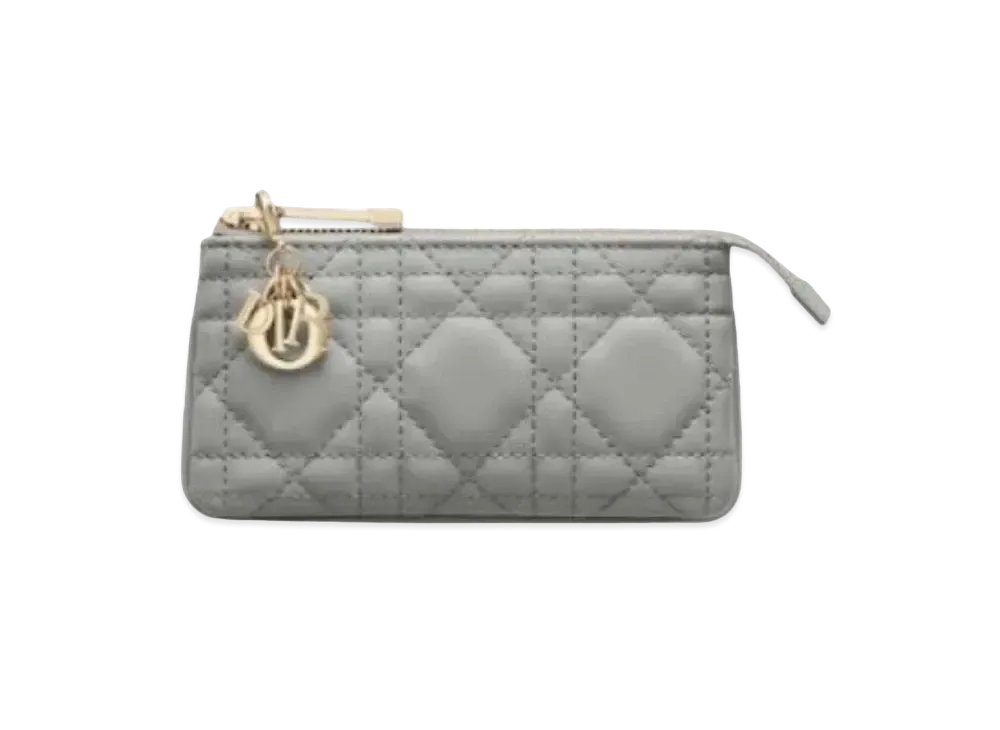 Dior Key Bag "Gray"