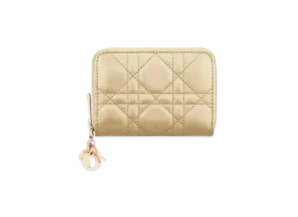 Dior Voyage Coin Purse "Gold"