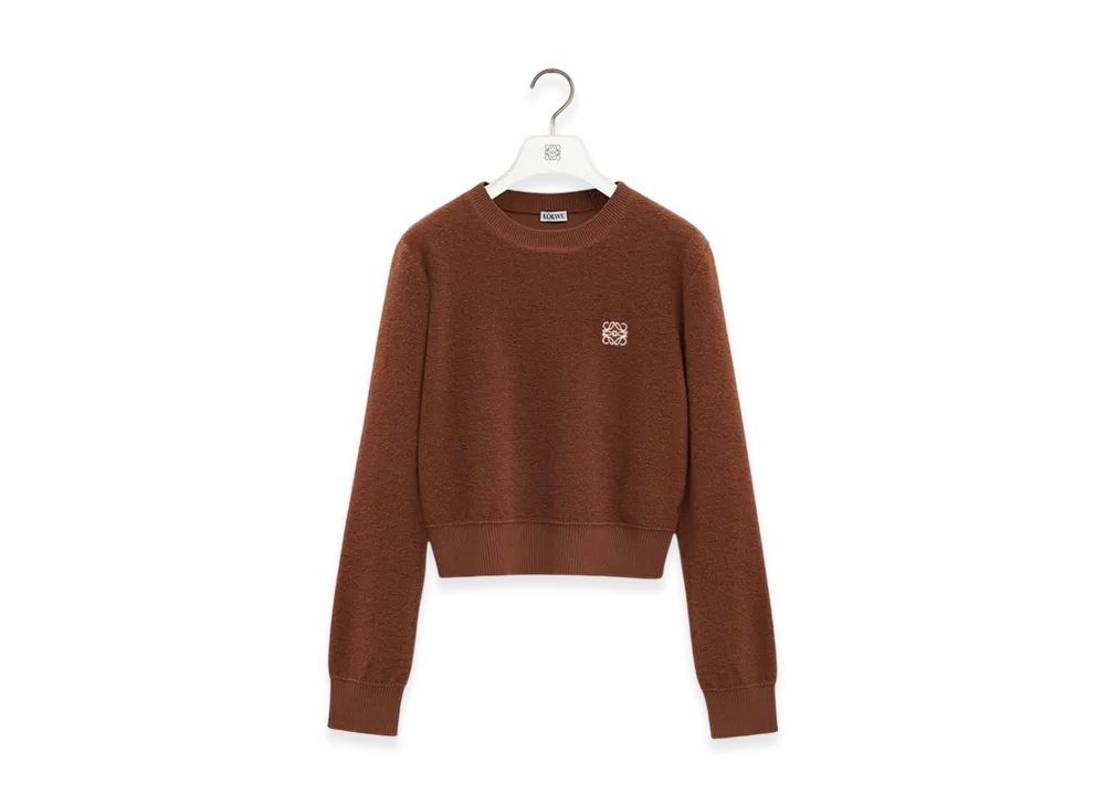 LOEWE Anagram Sweater "Brown"