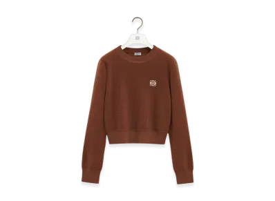 LOEWE Anagram Sweater "Brown"