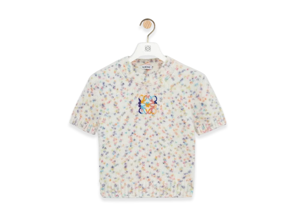 LOEWE Short-Sleeve Sweater "White/Multicolor"