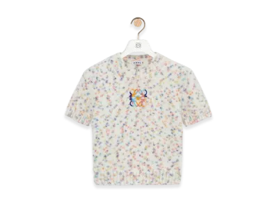 LOEWE Short-Sleeve Sweater "White/Multicolor"