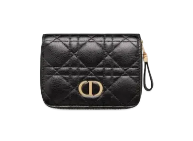 Dior Caro Small Zipper Wallet "Black"