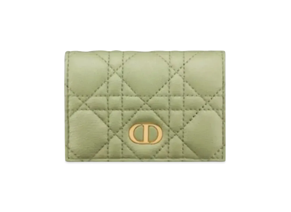 Dior Caro XS Wallet "Pastel Green"