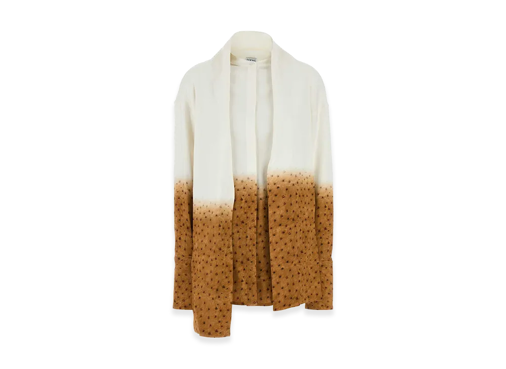 LOEWE Women's Printed Crepe Shirt "White/Multicolor"