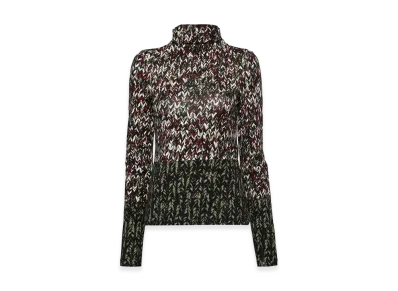 LOEWE Women's Sweaters "Multicolour"