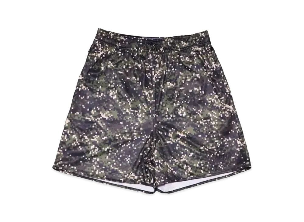 SAPEur Basic Shorts "Digital Camo"