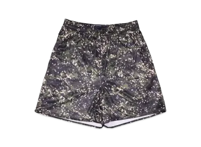 SAPEur Basic Shorts "Digital Camo"