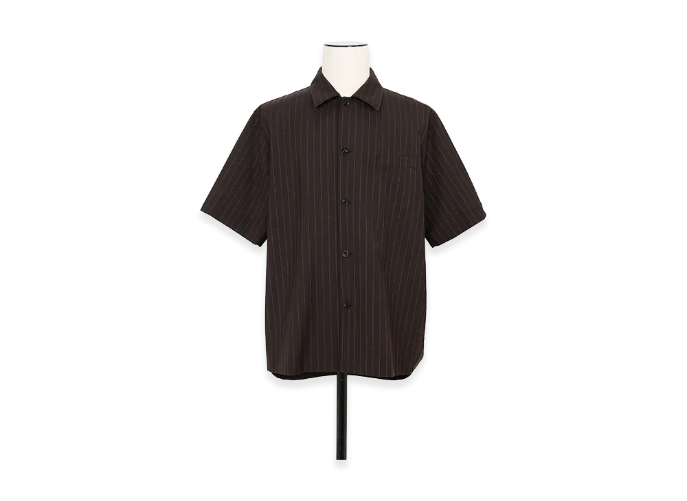 sacai Chalk Stripe Shirt "Brown"