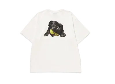 Setinn Balldog Tee "White"