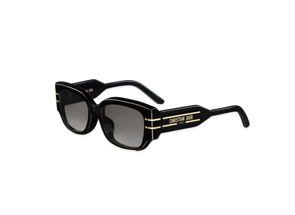 Dior Signature S13F Rectangular Sunglasses "Black"