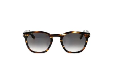 Saint Laurent Sunglasses "Brown"