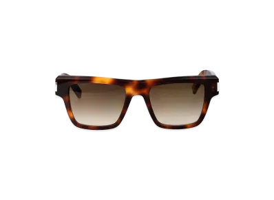 Saint Laurent Sunglasses "Brown"