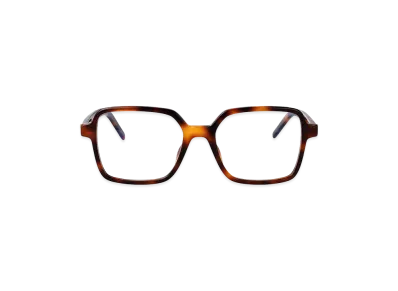 Saint Laurent Women's Glasses "Brown"