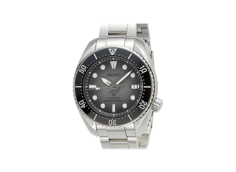 SEIKO Watch "Silver"