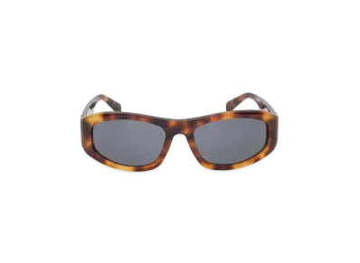 Stussy ブラウン サングラス アイウェア 24年モデル 4/5発売|Stussy Spring 24 Eyegear collection|抽選/販売/定価