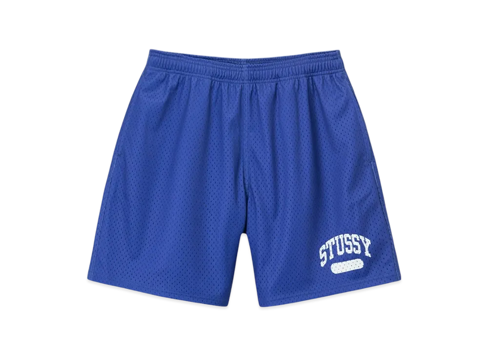 Stussy Arch Mesh Shorts "Purple"