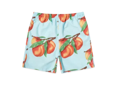 Stussy Peaches Water Shorts "Blue"