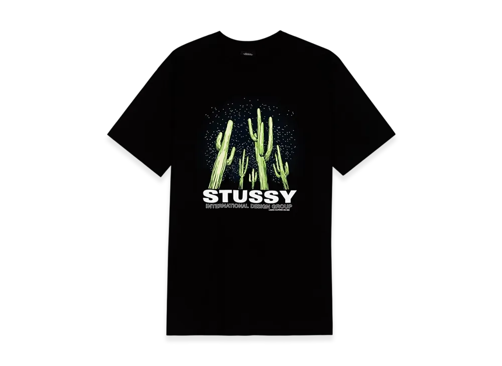 Stussy Saguaro Tee "Black"