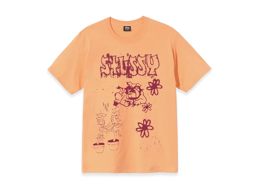 Stussy Bad Dream Tee "Peach"